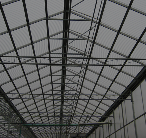 8mm Poly Carbonate Roof