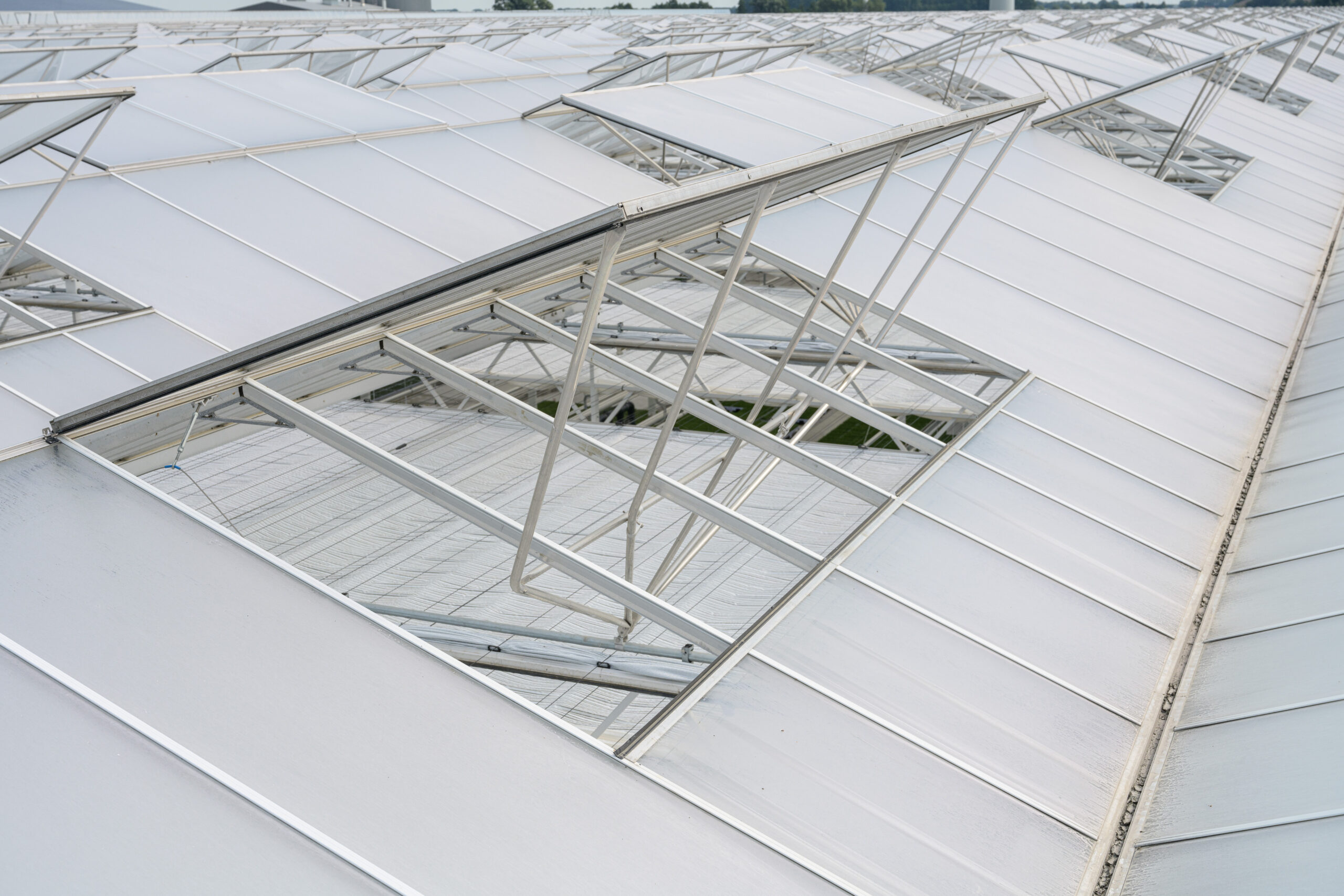 The open vent on the roof of a Venlo greenhouse.