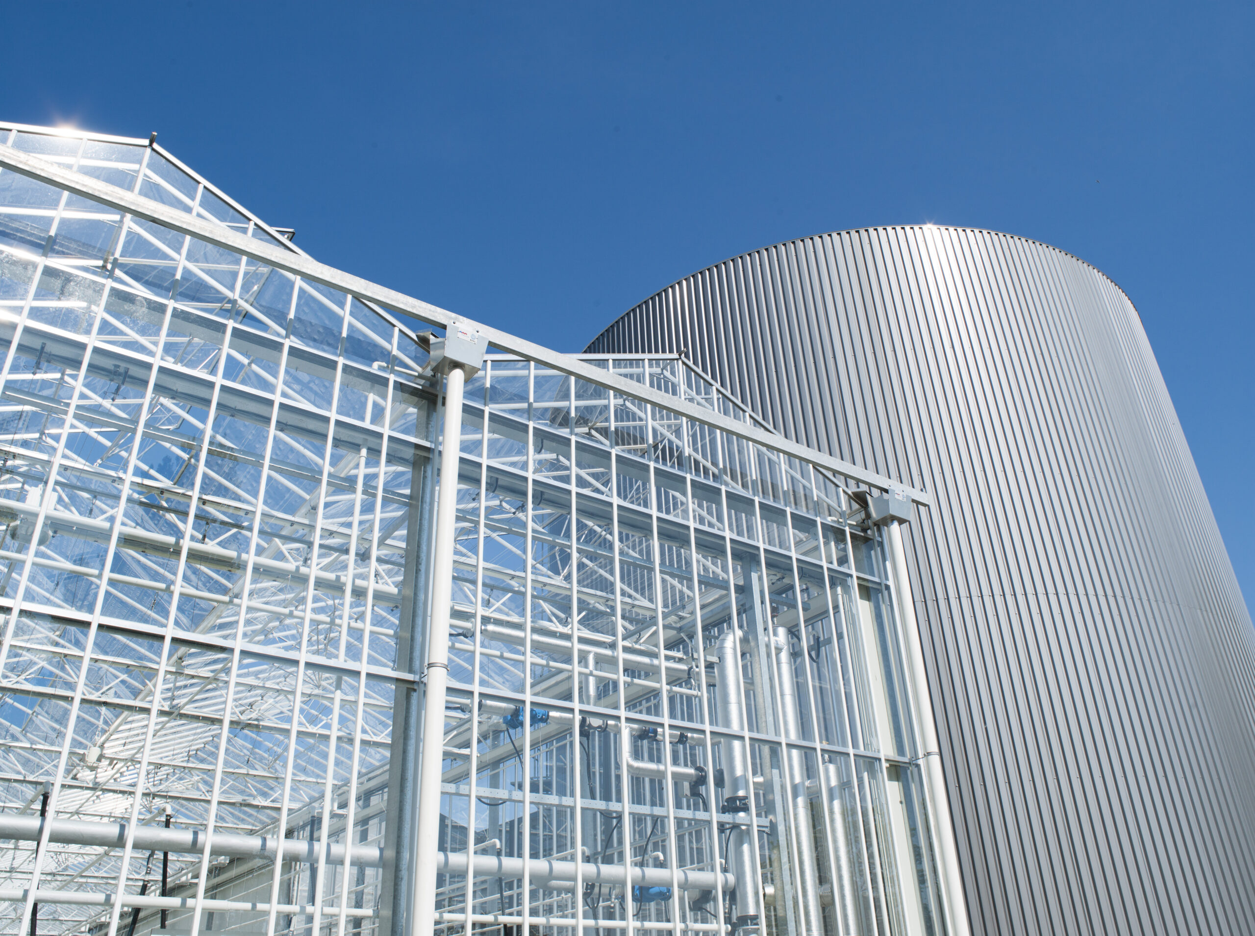 A photo of a Venlo greenhouse taken from the ground looking up with a blue sky in the background.
