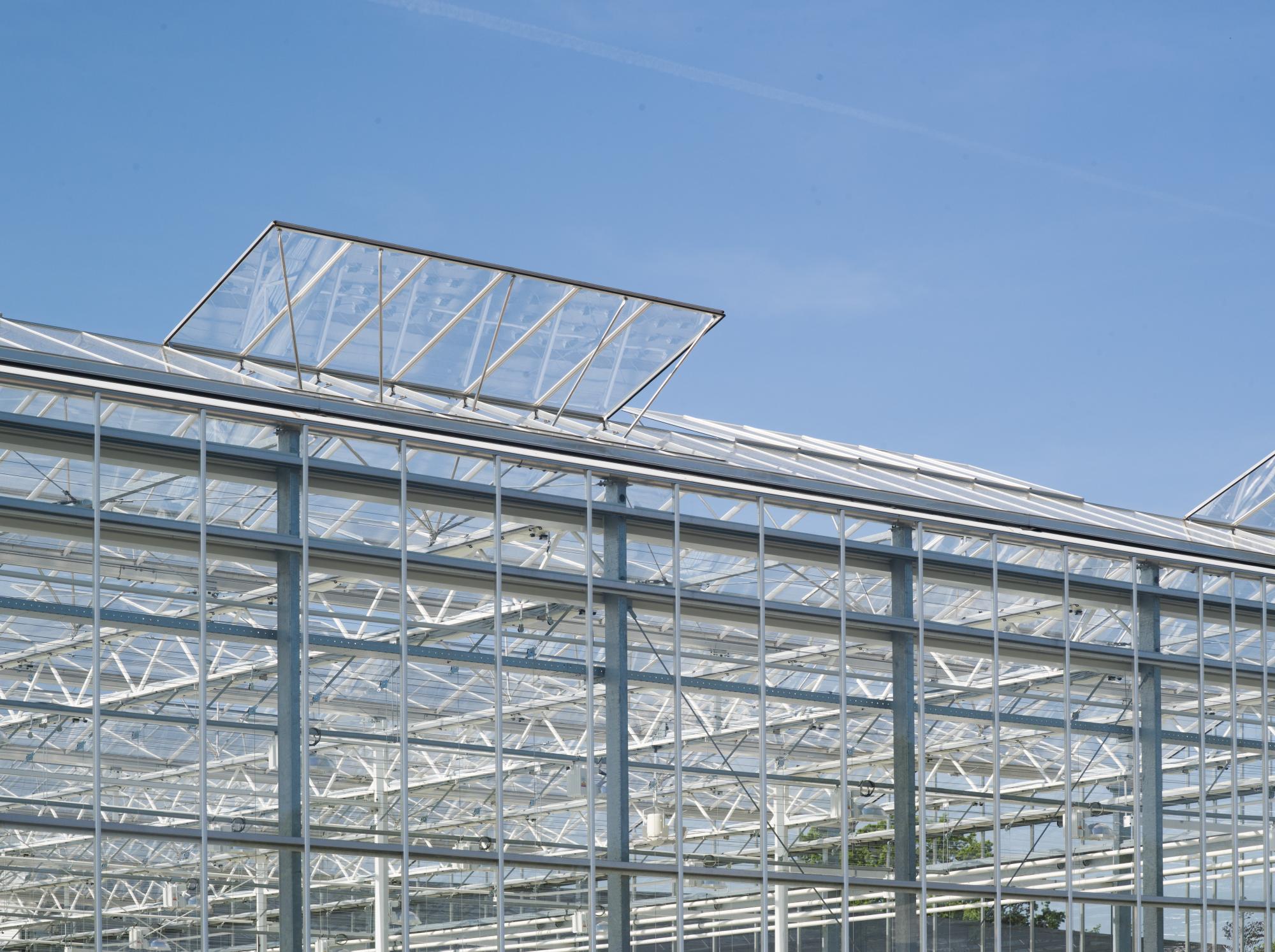 A vented roof of a Venlo greenhouse is open against a blue sky backdrop.