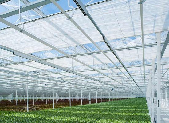 engineered-for-light-venlo-lp